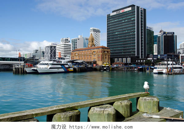 海边城市新西兰旅游